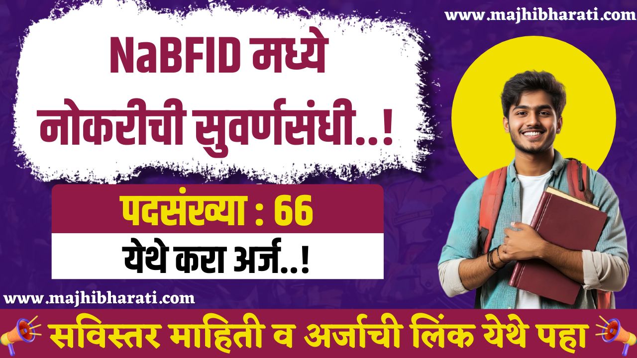 NaBFID Bharti 2025